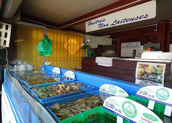 Near Mont St Michel & Nature Trails Vakantiehuis